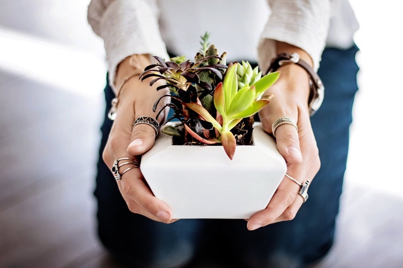 Trellis Planters